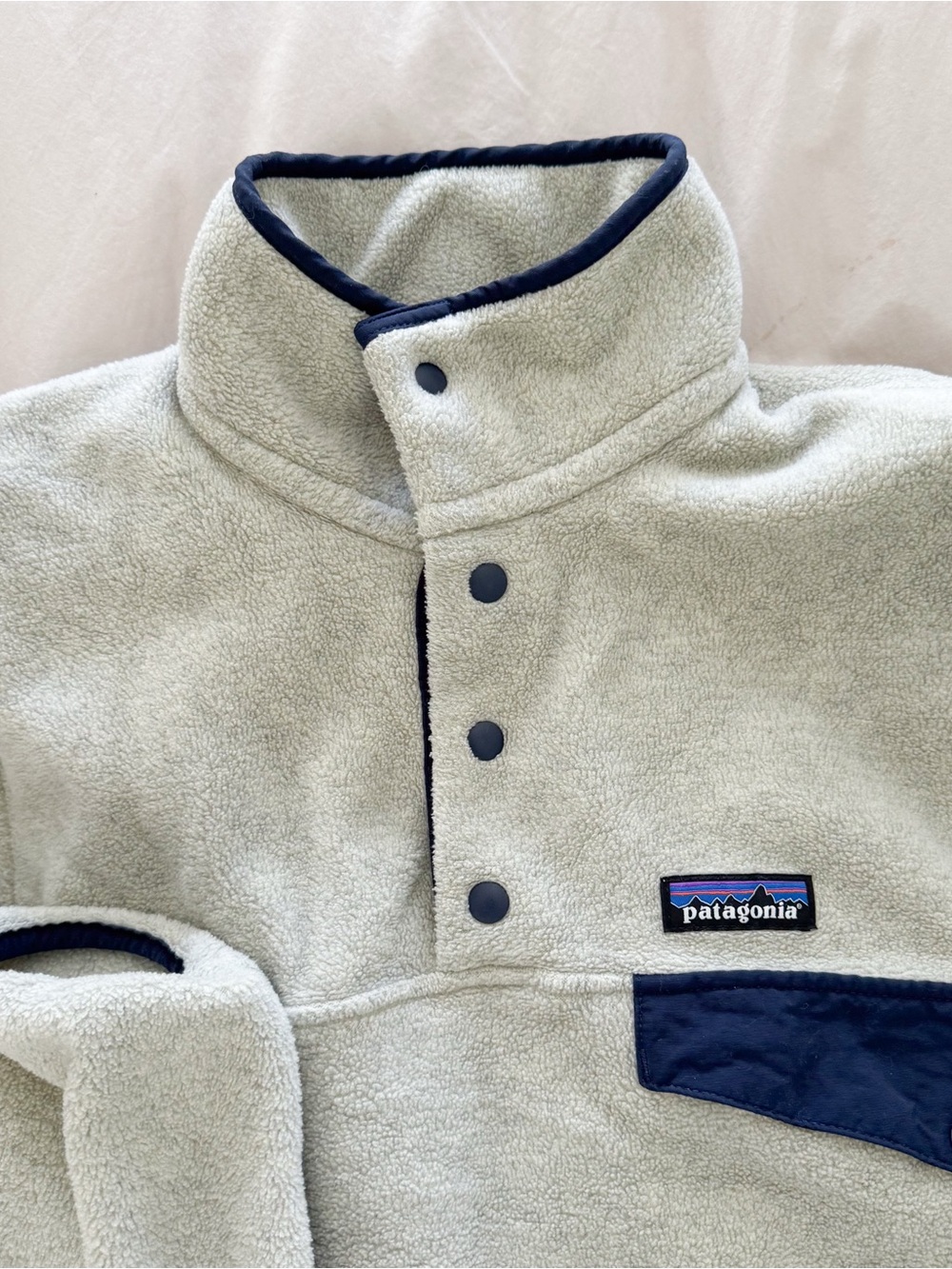 Patagonia Fleece Snap Pullover